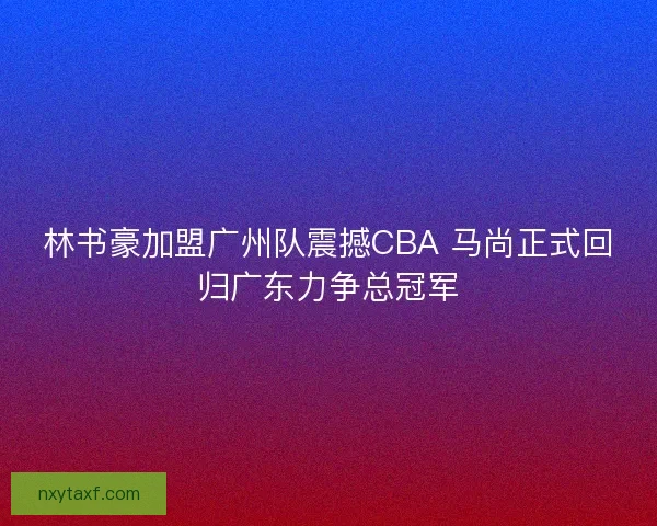 林书豪加盟广州队震撼CBA 马尚正式回归广东力争总冠军